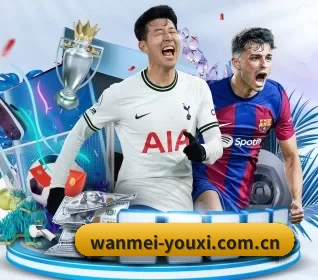 完美世界对战平台 APP